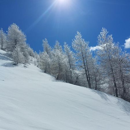 Le Studio Du Queyras Avec Vue Sur La Montagne อาบรีเยส ภายนอก รูปภาพ