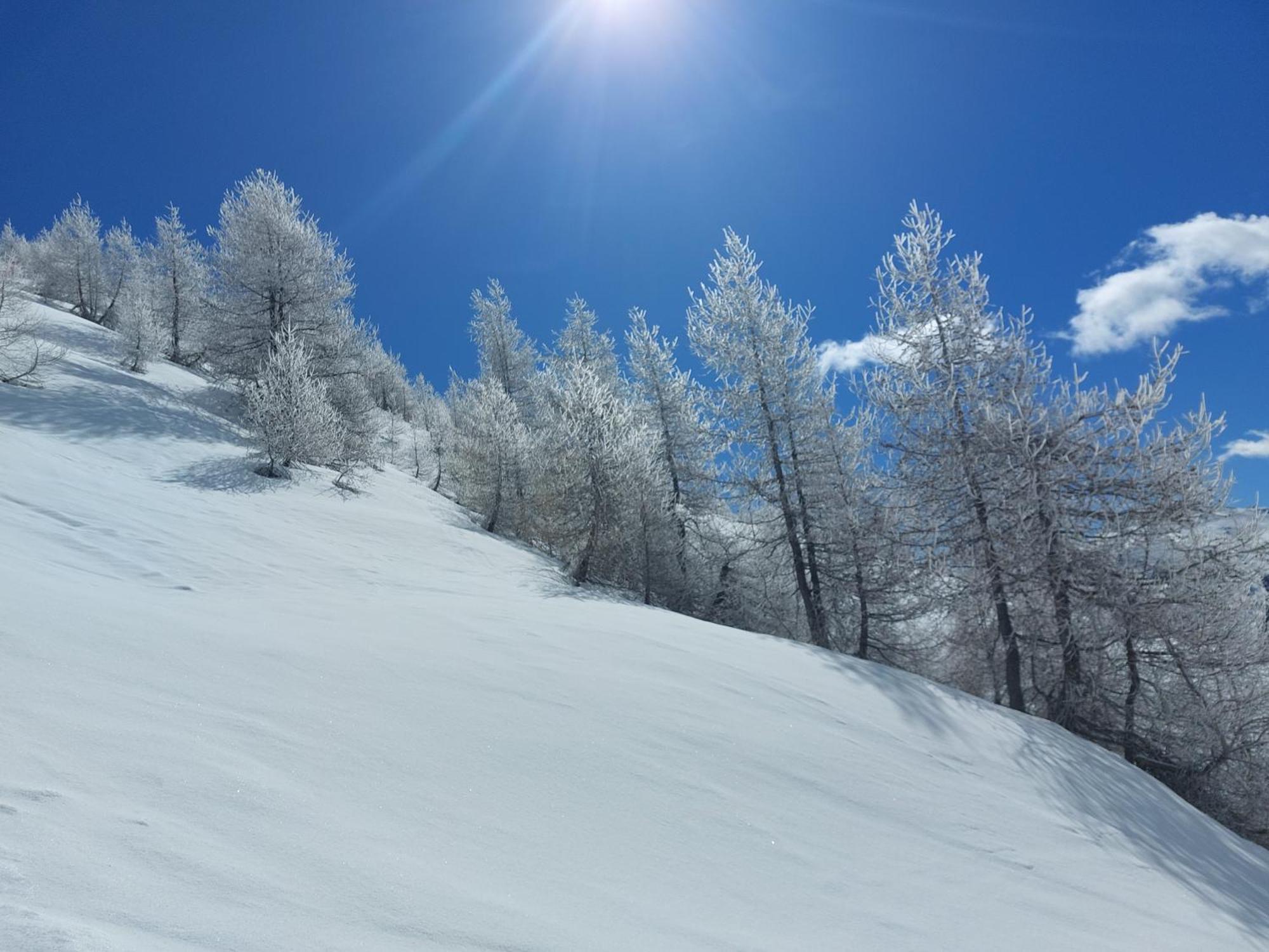 Le Studio Du Queyras Avec Vue Sur La Montagne อาบรีเยส ภายนอก รูปภาพ